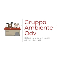 GRUPPO AMBIENTE ONLUS