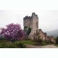 PRO-LOCO BAIANO DI SPOLETO*