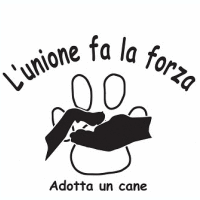 L'UNIONE FA LA FORZA